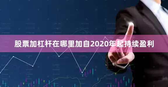 股票加杠杆在哪里加自2020年起持续盈利